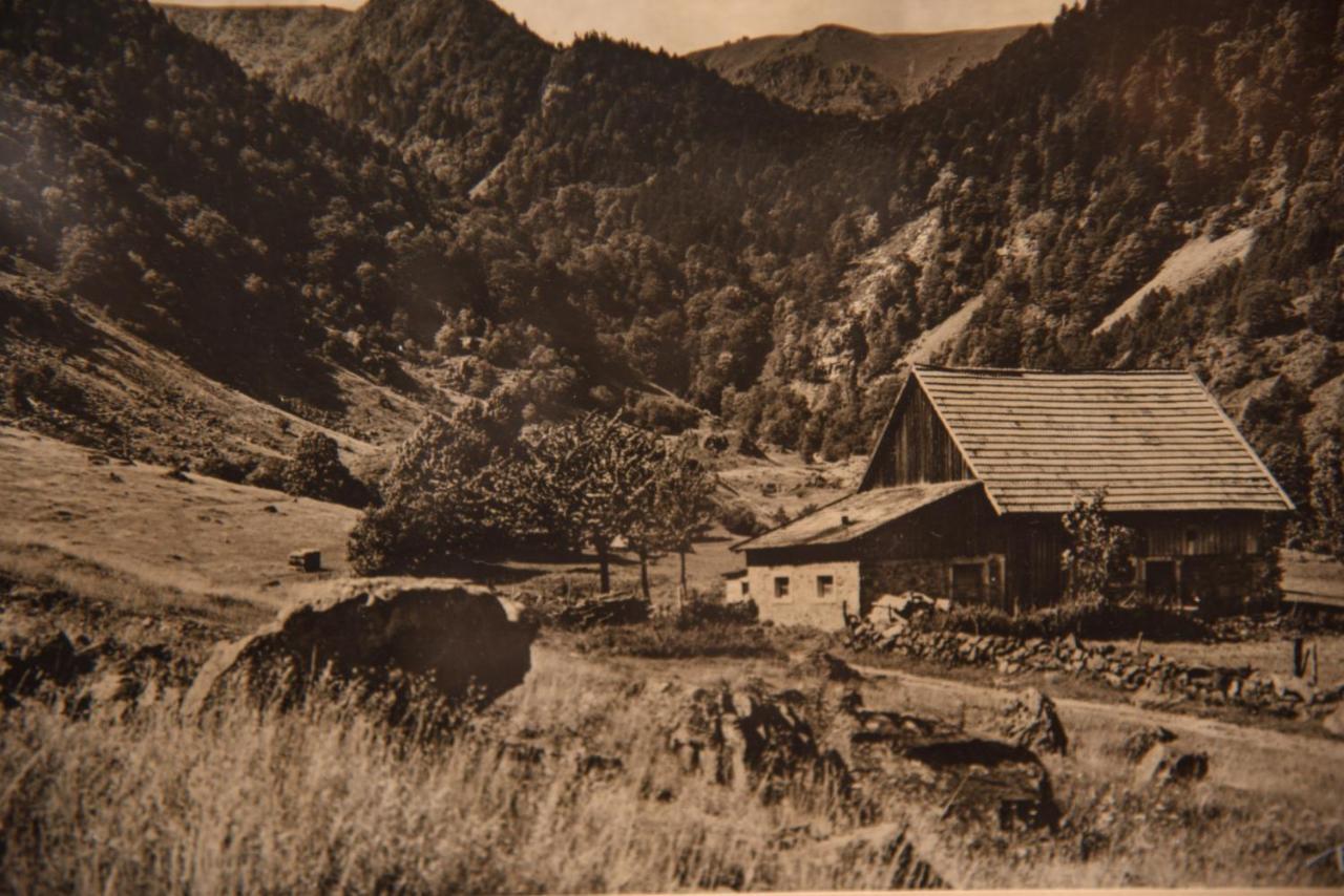 Hotel Deybach Munster  Exteriör bild